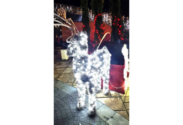 Дядо Коледа вече приема писмата с коледни желания на деца