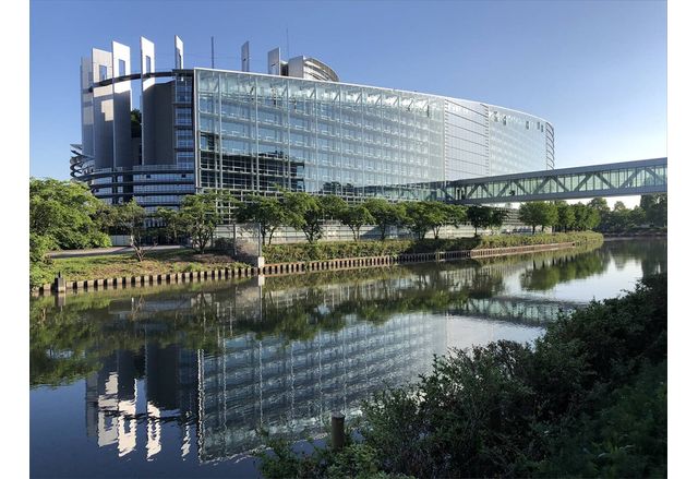 Препратките към език и идентичност в годишния доклад на ЕП