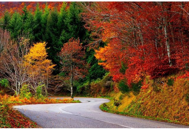 Днес ще е предимно слънчево Сутринта на места в равнините