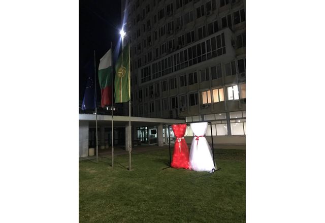 За първа година Община Димитровград ще поздрави гостите и жителите на града със светещи мартеници