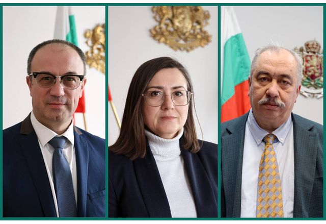 Заместник-министър д-р Петър Грибнев, заместник-министър проф. Антония Димова, заместник-министър Владимир Афенлиев 