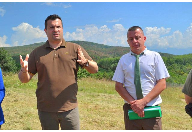 По малко от 0 5 от площта на горските територии в България 
