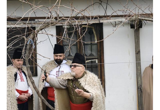 Зарязване на лозата