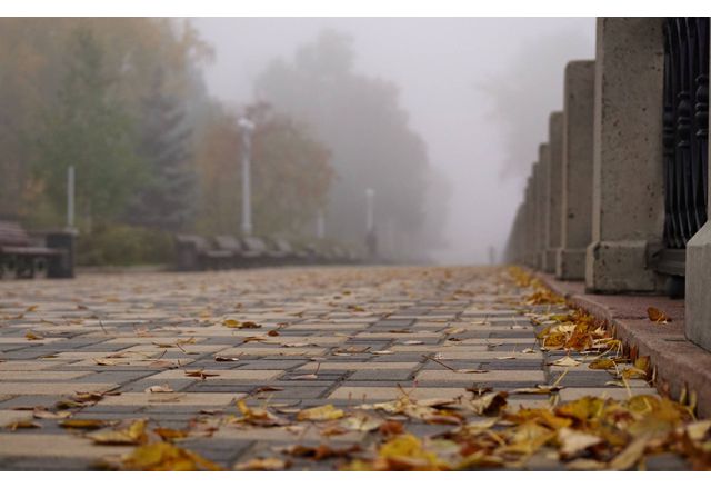 Днес преди обяд ще има повече слънчеви часове но на