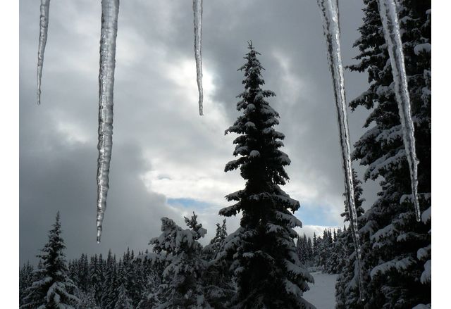 Зима, лед, ледени висулки, студено време