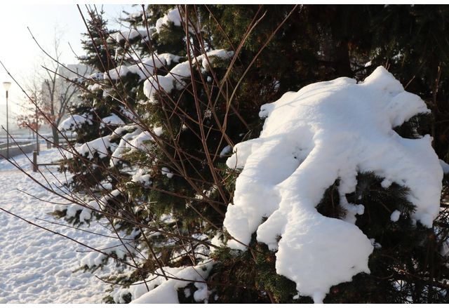 Днес ще бъде облачно На много места ще има валежи