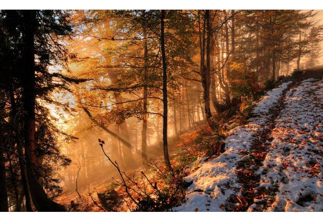 Днес преди обяд облачността ще е значителна а над Северозападна