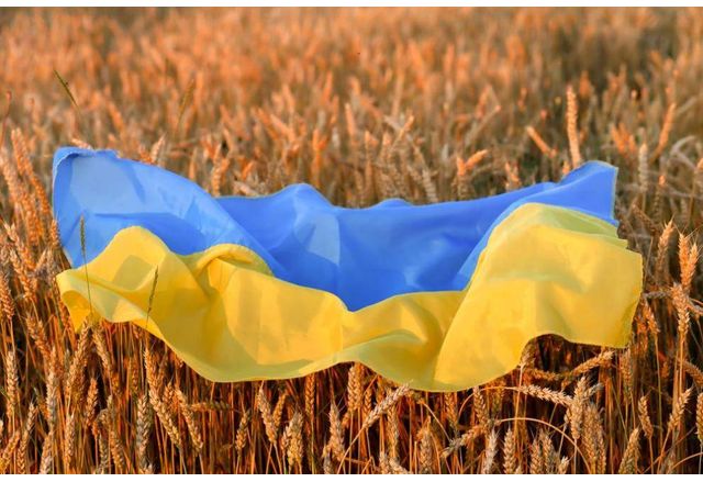 Зърно от Украйна