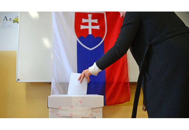 Избори в Словакия
