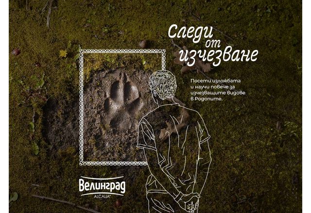 Стартира кампанията “Следи от изчезване”, която цели да запознае обществото със застрашените от изчезване видове в България 