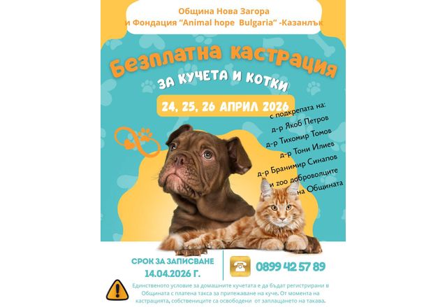 Община Нова Загора обявява кампания за безплатна кастрация на домашни кучета и котки