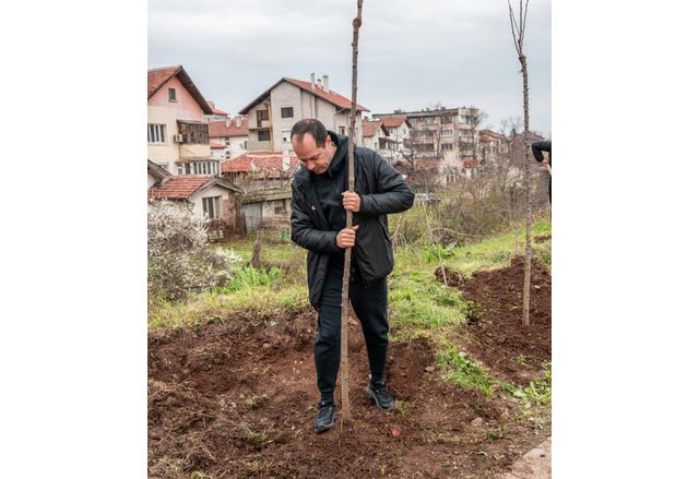 През последните 10 години лично съм засадил повече дървета отколкото