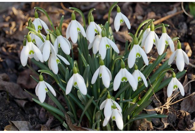 Днес над по голямата част от страната ще преобладава слънчево време