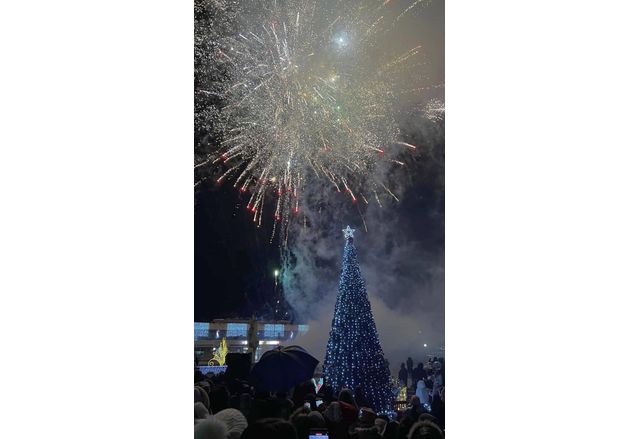 Коледна елха в Мездра