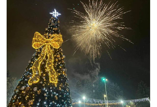 Коледна и новогодишна елха