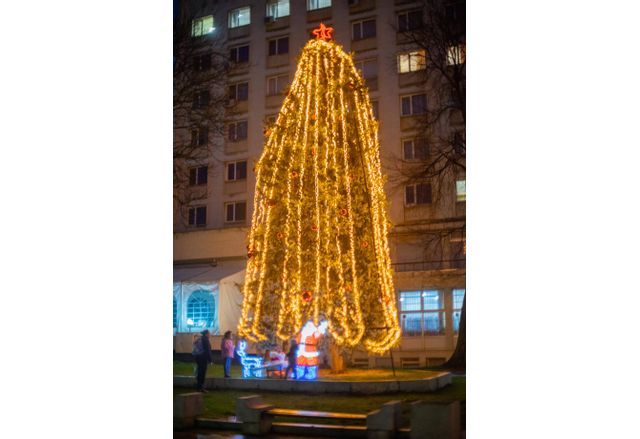 Коледната елха в Мездра