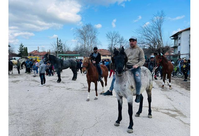 Десетки състезатели от страната участват в конните надбягвания организирани от