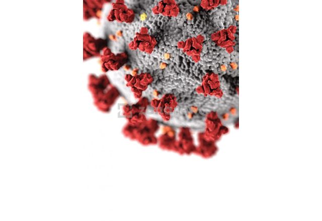 Новите случаи на коронавирус у нас са 1141 при направени