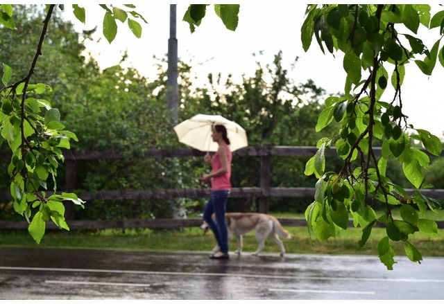 Предупреждение за значителни валежи отправят синоптиците на Национален институт по