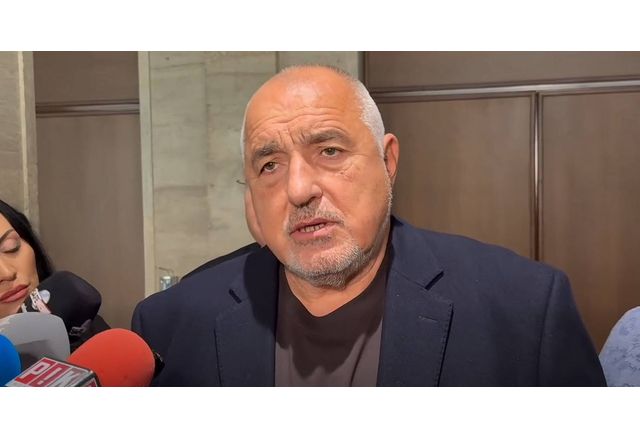 Лидерът на ГЕРБ Бойко Борисов