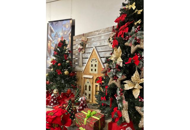 Ученици от Професионалната гимназия Велизар Пеев в Своге измайсториха коледен