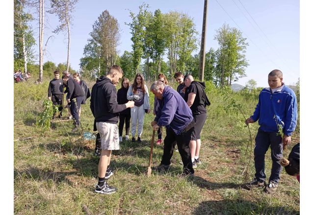 Над 120 доброволци засадиха 2 000 дръвчета в землището на Долна Кремена 