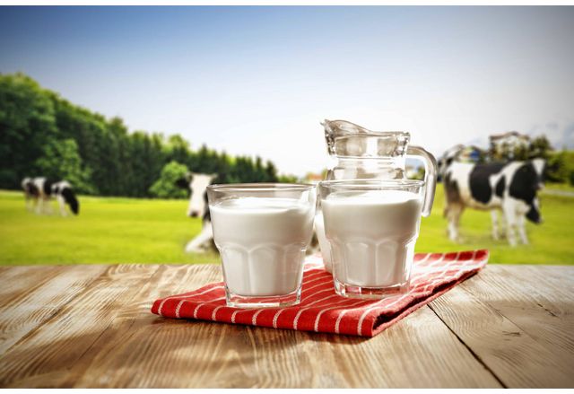 Очакват се фалити на ферми в сектора на млекопроизводството Заради