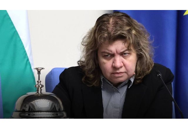 С огромно мнозинство Националният съвет на БСП прие предложението на