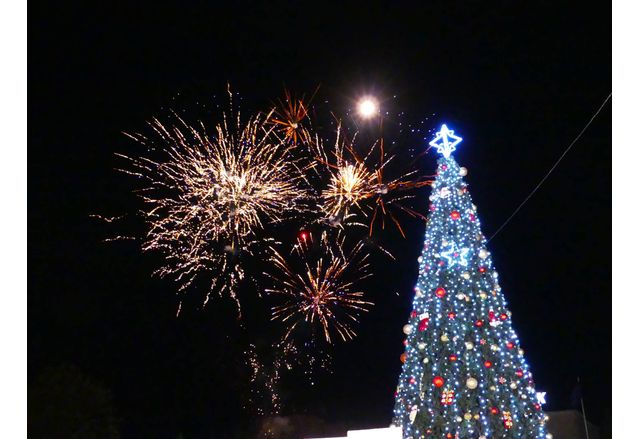 Тържествено запалиха светлините на градската елха в Нова Загора