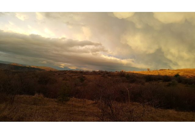 Днес по преминаващ през страната студен атмосферен фронт облачността ще