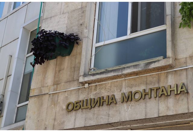 Община Монтана