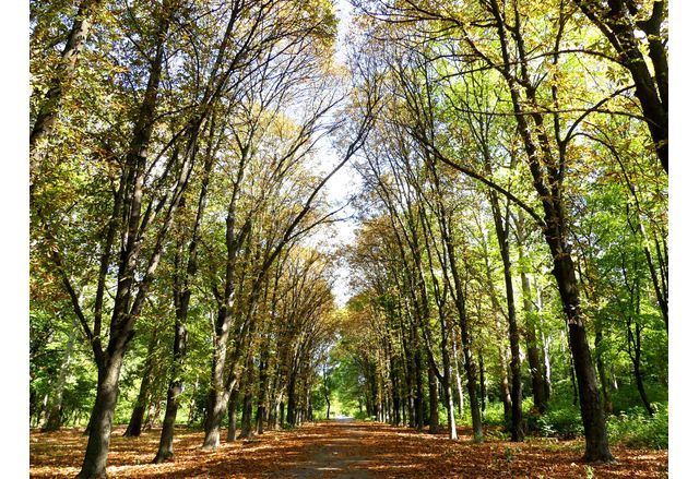 Община Нова Загора с нов мащабен международен проект за по