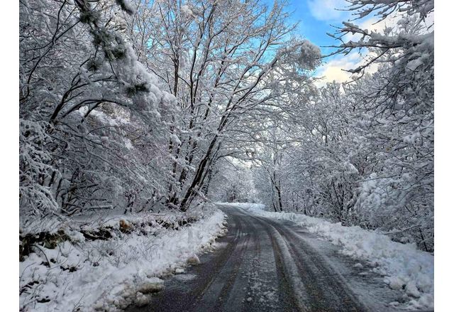 Около 20 см сняг във високите части на община Асеновград