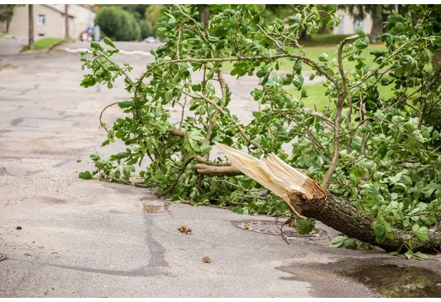 Мъж на 78 г е починал в болницата снощи където