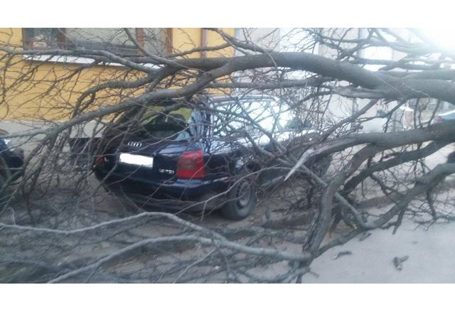 Силният вятър в София взе жертва днес съобщава МВР Загинал