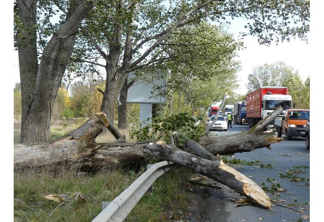 В системата на тел 112 са постъпили 12 сигнала за