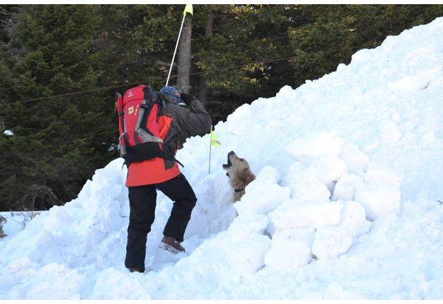 Продължава издирването на 22 годишния младеж изчезнал в района на планината