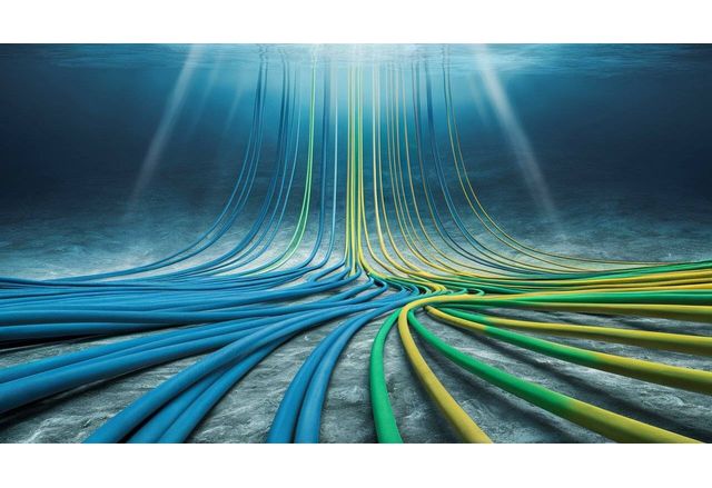 Финландската Синиа Cinia обяви днес че е възстановила напълно своя