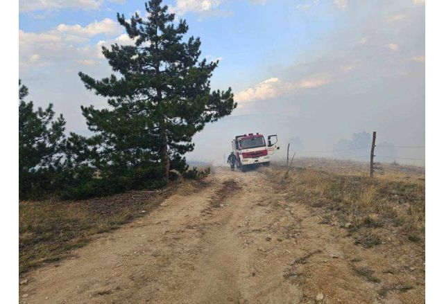 Мълнии причиниха два пожара в житни блокове в Пазарджишко съобщи