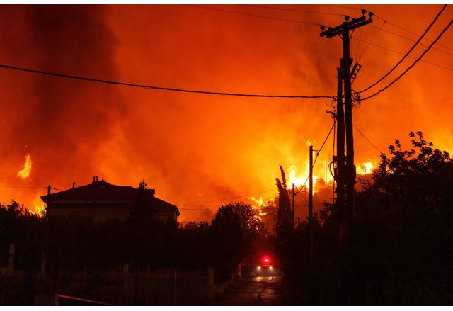 Изгорели тела на 18 души бяха открити при горските пожари