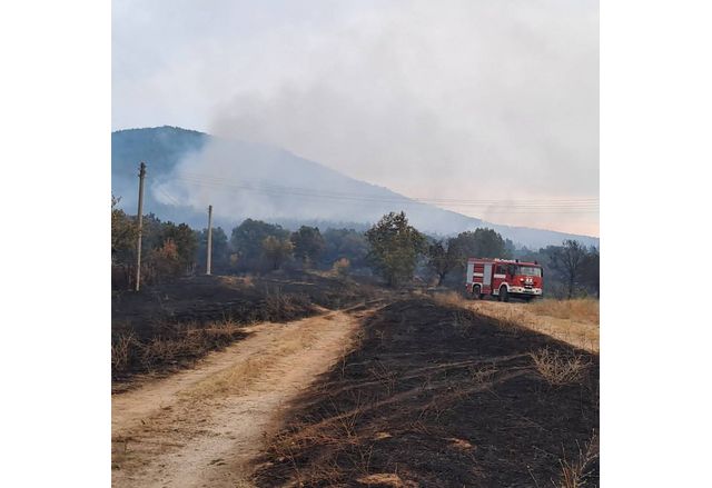 Цяла нощ продължи борбата с огъня в пловдивското село Отец