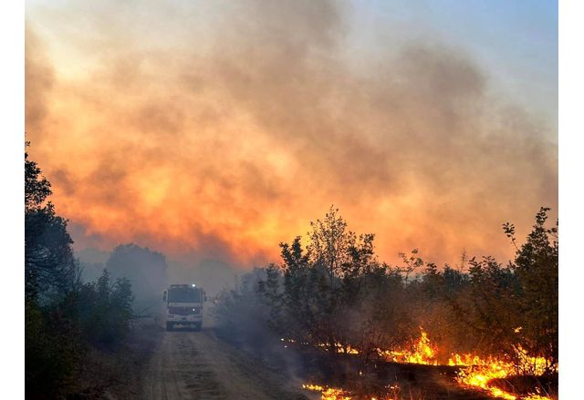Общо 131 пожара са потушени на територията на страната през
