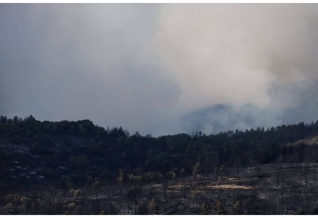 Пожарите в областите Сливен и Ямбол са овладени Това съобщи