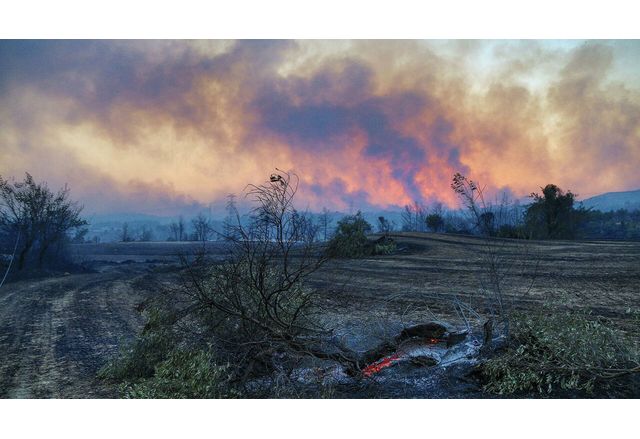 Периметърът на големия пожар северно от Стара Загора е заграден