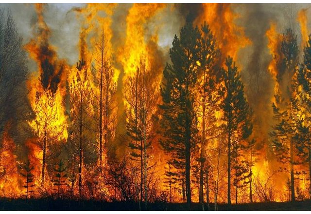 Трета седмица продължава битката с пожара в планината Славянка на