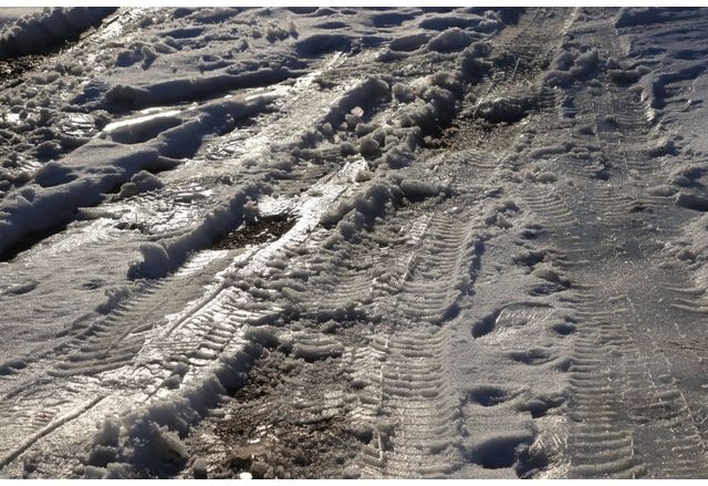 Днес ще бъде предимно слънчево След обяд от запад северозапад