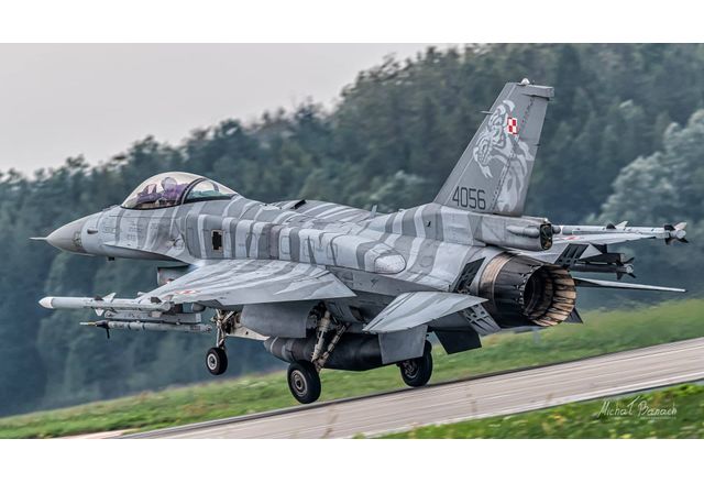 Самолети на полската армия и на съюзнически сили бяха вдигнати