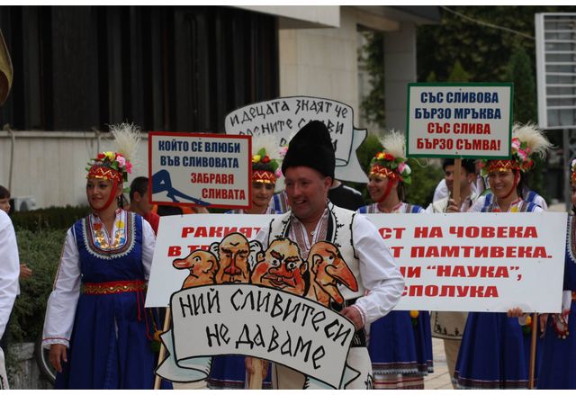 Празник на сливата в Троян