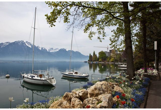 На 5 юни всяка година отбелязваме Световния ден на околната