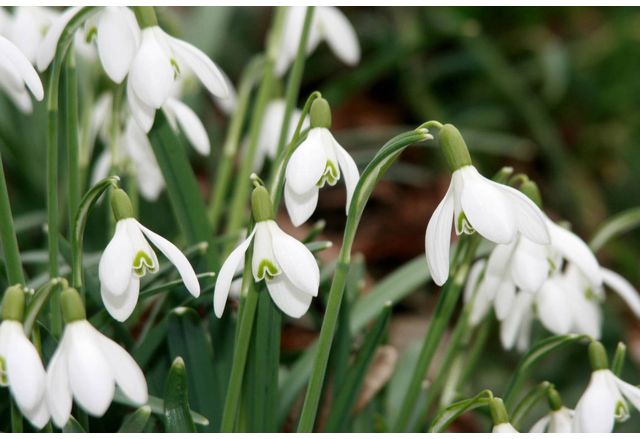 Днес ще бъде слънчево с разкъсана висока облачност главно над